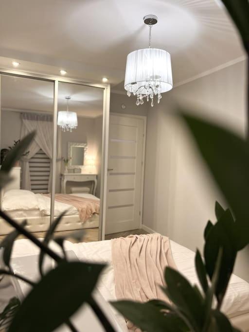 Apartament Zamojski Mlynska Zamość Buitenkant foto