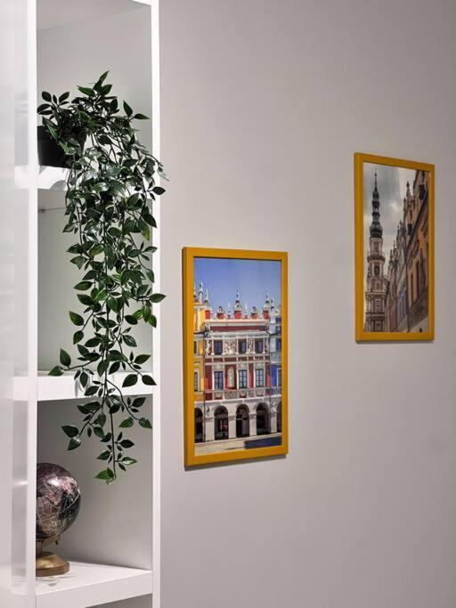 Apartament Zamojski Mlynska Zamość Buitenkant foto