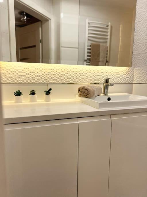 Apartament Zamojski Mlynska Zamość Buitenkant foto