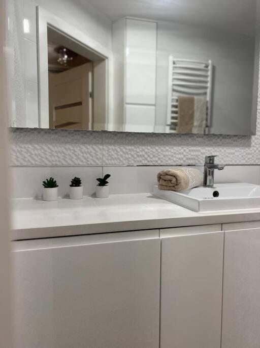 Apartament Zamojski Mlynska Zamość Buitenkant foto